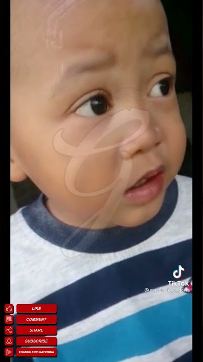 JANCOK JARAN | Video Status WA | Guyonan Jowo
