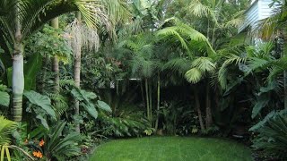 Turning Boring Garden Into A Cool Tropical Garden Ideas