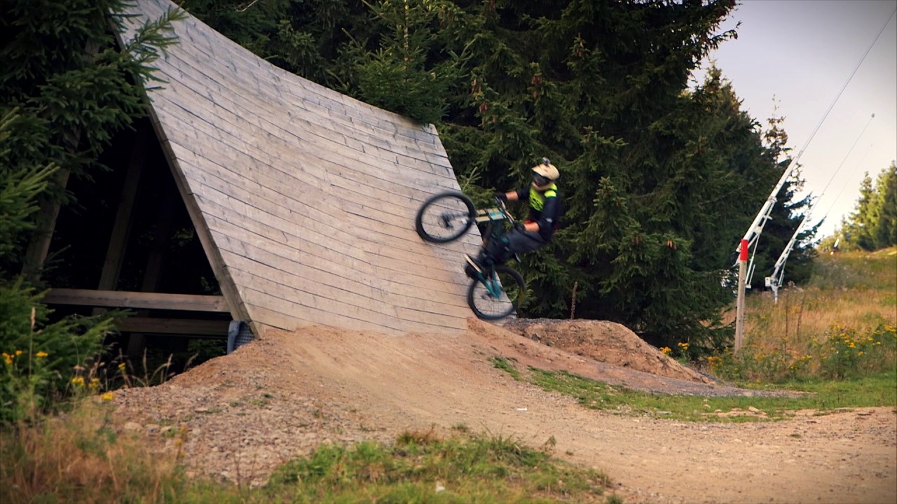 Rollo mit Fotodruck-Motiv - Im freien Fall - meinrollo.de