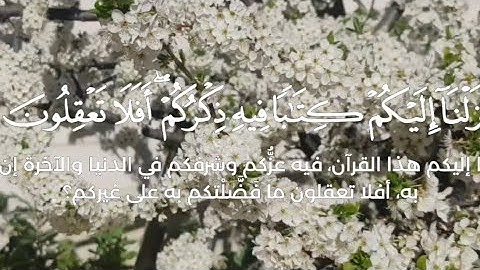 لقد أنزلنا إليكم كتابا فيه ذكركم أفلا تعقلون سورة الأنبياء #القرآن_الكريم #راحة_نفسية