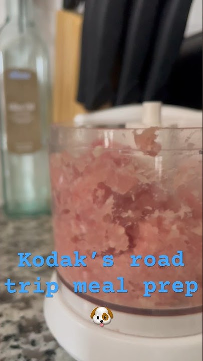 how-i-prep-my-puppy-raw-food-for-road-trip-youtube