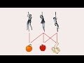 Understanding Binary Relations