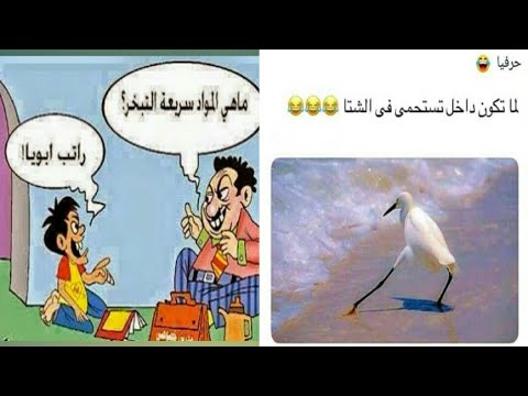 نكت خليجية مضحكة جدا الحلقة 1 تشبع ضحك 