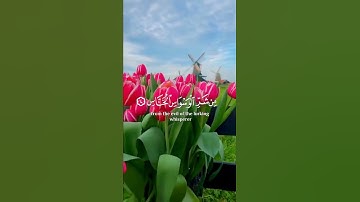 سورة الناس بصوت جميل جدا- اسلام صبحي حالات واتس اب دينية قصيرة قران كريم تلاوة خاشعة