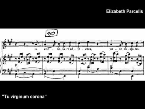 Mozart Exsultate, Jubilate Part 2--Elizabeth Parce...