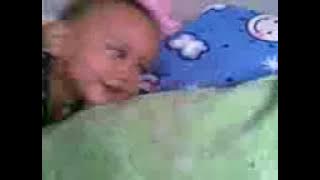 video lily kecil