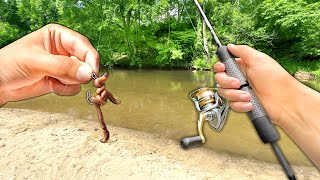 Fishing the CREEK w/ Live WORMS for Anything That Bites!