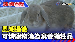 風潮過後   可憐寵物淪為棄養犧牲品【熱線追蹤】