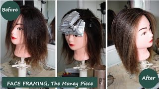 How to face frame using the money piece application method, using babylights and slicing techniques.