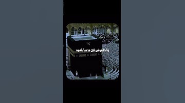 سورة النحل، الشيخ بدر التركي #القرآن_الكريم #المصحف #قرآن #تلاوه
