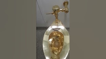 The flushing Gold Toilet at the Guggenheim museum New York