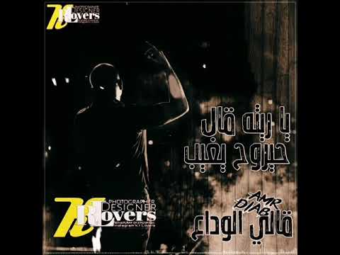 حالة واتس عمرو دياب قالي الوداع