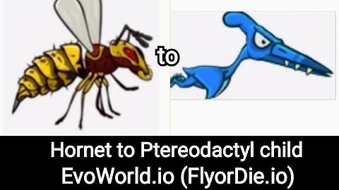 Fastest Hornet to Ptereodactyl child in EvoWorld.io (FlyorDie.io)