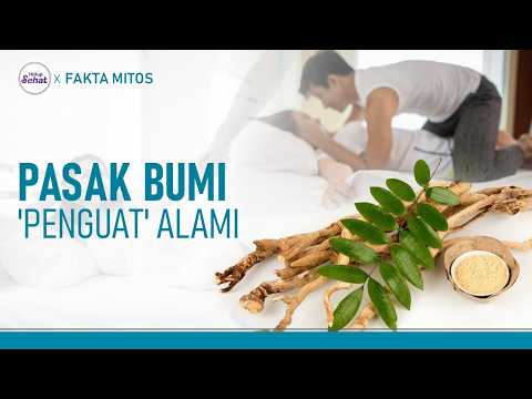 Lasting Longer in Bed with Pasak Bumi, Here Are the Facts