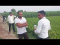 Nava bharath fertilizers ltd more 69 product result hajari lal rajoria