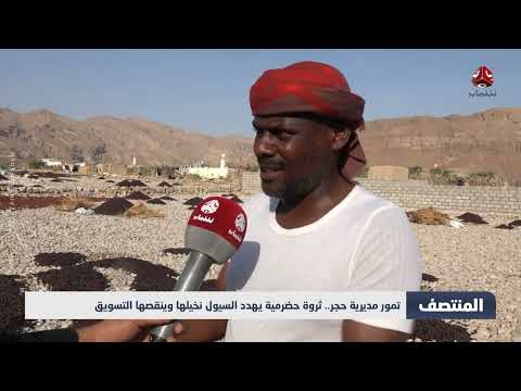 التمور الحجرية في حضرموت: محصول واعد يواجه تحديات