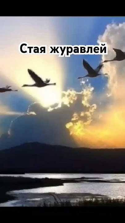 Стая журавлей. #музыка - YouTube