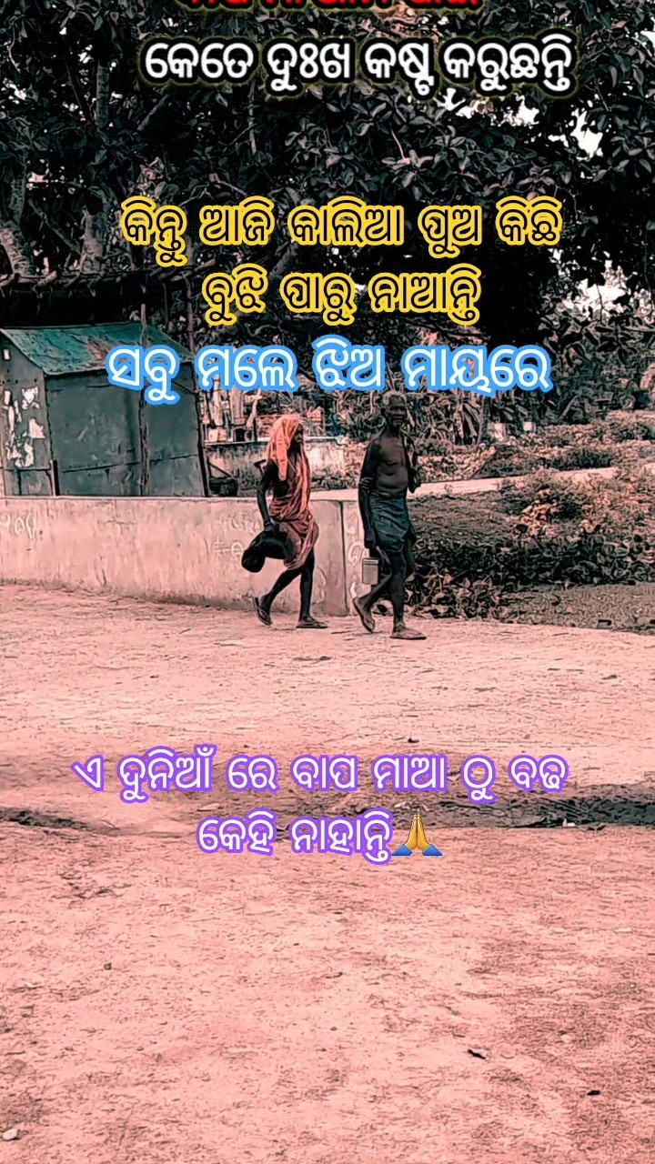 🌹🌹good morning 🌹🌹 - ShareChat