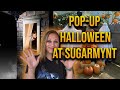 Pop up Halloween event at Sugarmynt Gallery | Complete tour!