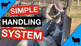Goat and Sheep Handling System