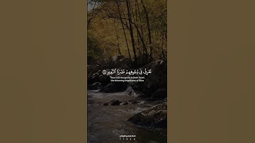 سورة المطففين | #explore #foryou #المنشاوي #راحة #قرآن #قران #قران_كريم #اكسبلور #القرآن #قرأن #fyp