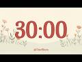 30 Minute Silent Timer 🔕 No Music Countdown with Alarm | Focus Timer for Study, Work &amp; Classroom