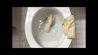 Will It Flush? - Mcdonalds 1 2 3 Dollar Menu