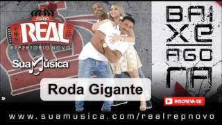 Vídeo de Roda Gigante