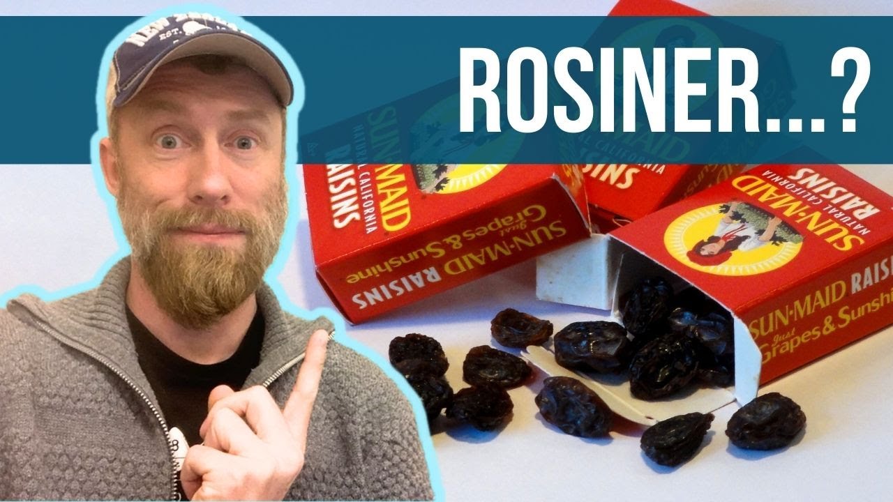 GIFTSTOFFER OPDAGET! Hvorfor rosiner og vindruer er giftige for hunde [Spørg Dyrlægen Online]