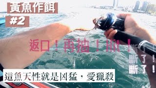 魚餌游得驚恐，隔數秒便有攻擊信息！釣法就是必須暴力￼！#香港釣魚