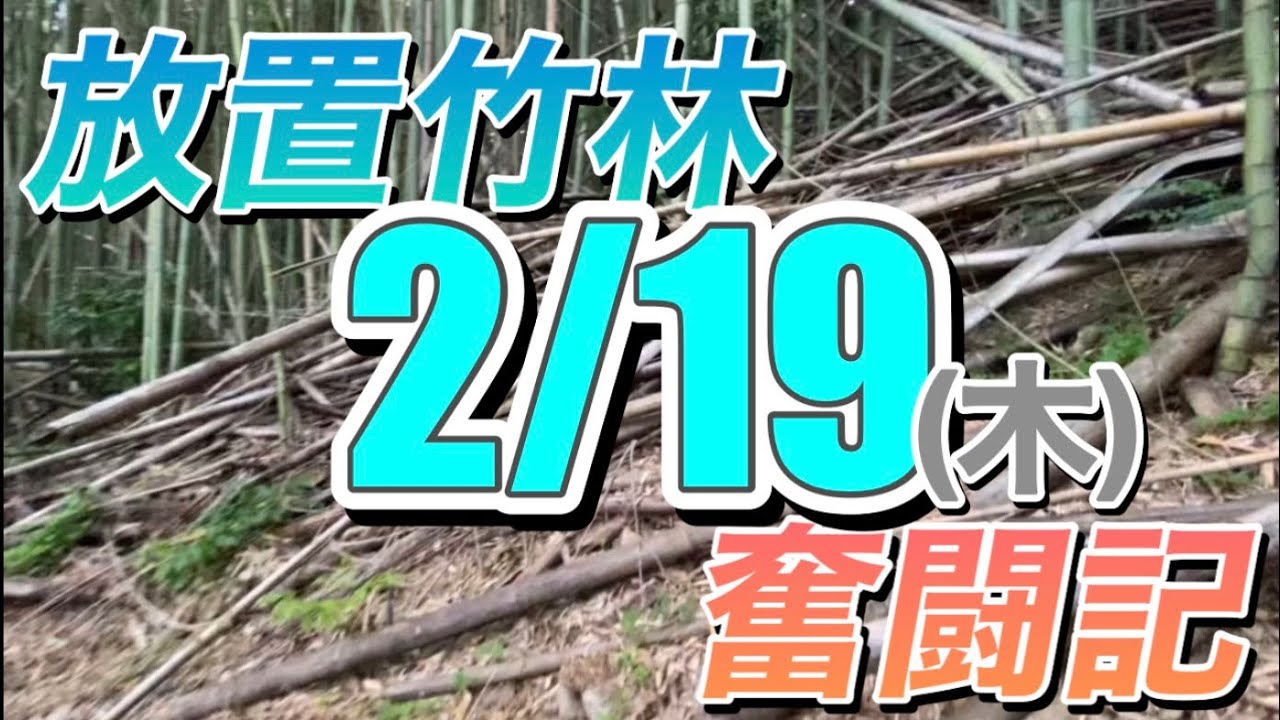 放置竹林奮闘記【早期退職者が竹を焼く日々】2026/02/19