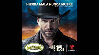 Download Lagu (Hierva mala nunca muere )los tucanes de Tijuana)el señor de los cielos 8 MP3