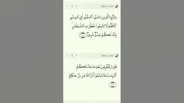 بسم الله الرحمن الرحيم سورة البقرة ايه 208