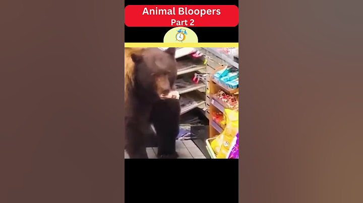 Top 5 Animal Bloopers Exposed! #2 #viral #shorts #funny