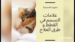 علامات التسمم في القطط و طرق العلاج المنزلي? القطط | دكتورة_الانسانية  cats | doctor | pets