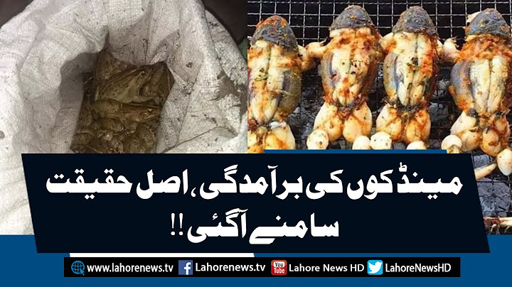 Truth Behind Frog Scandal in Lahore Revealed
