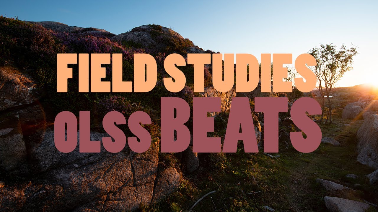 "Field Studies" Hip hop Melodic Boom bap Rap instrumental Piano