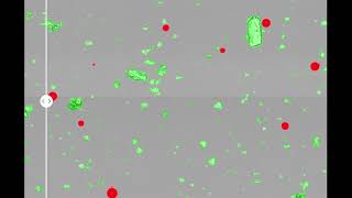 Detect Air Bubbles in your sample for correct results