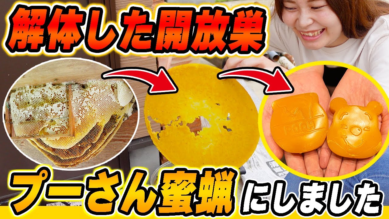 解体した開放巣から蜜蝋を抽出し形見にしました！【蜜蝋作り】