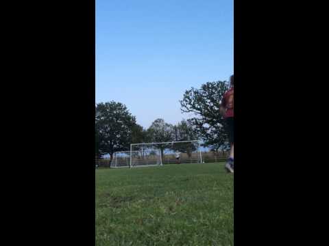 Top 5 saves of the week entry