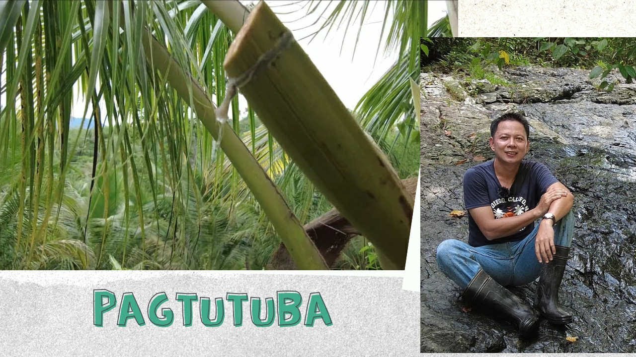 Pagtutuba: Step-by-Step Guide para sa mga Baguhan 🇵🇭