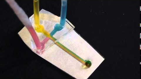 Laminar Flow in Paper Microfluidic Device