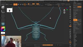 Insect Inspired Creature Sculpting – Eric Keller – ZBrush 2024