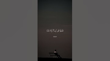 ﴿إِنَّهُم كانوا لا يَرجونَ حِسابًا﴾القارئ عبدالرحمن مسعد @i9naoo