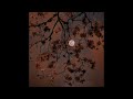 Up And Down Judy Singh Slowed Down Up And Down Judy Singh Slowed Down