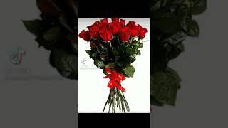 Sevdiyiniz Birisi Var Menim Var Çox Darxram