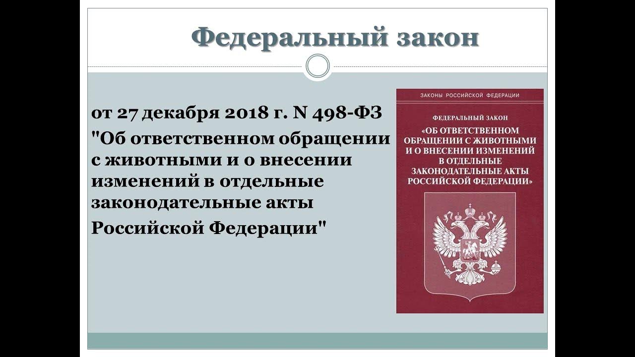 фз закон о животных. закон 498-фз об ответственном обращении с животными. порядок применения ккт. изменение закона 498. федеральный закон 498.