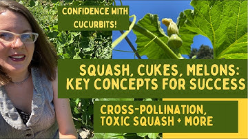 Key Concepts You Must Know to Grow Squash, Melons, Cukes: Cross-Pollination, Hybrids, Toxic Squash