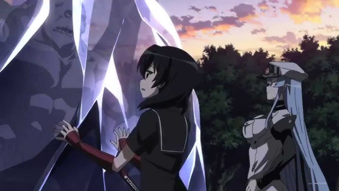 LGBT+ canon do dia on X: O personagem LGBT canon do dia é Bulat de Akame  Ga Kill! Ele é gay!  / X