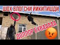 "ЭНДИ 2ТА ОИЛА УЧУН ҚУРАМИЗ" УЙ КУРИЛИШИ АВЖИДА  35-КИСМ